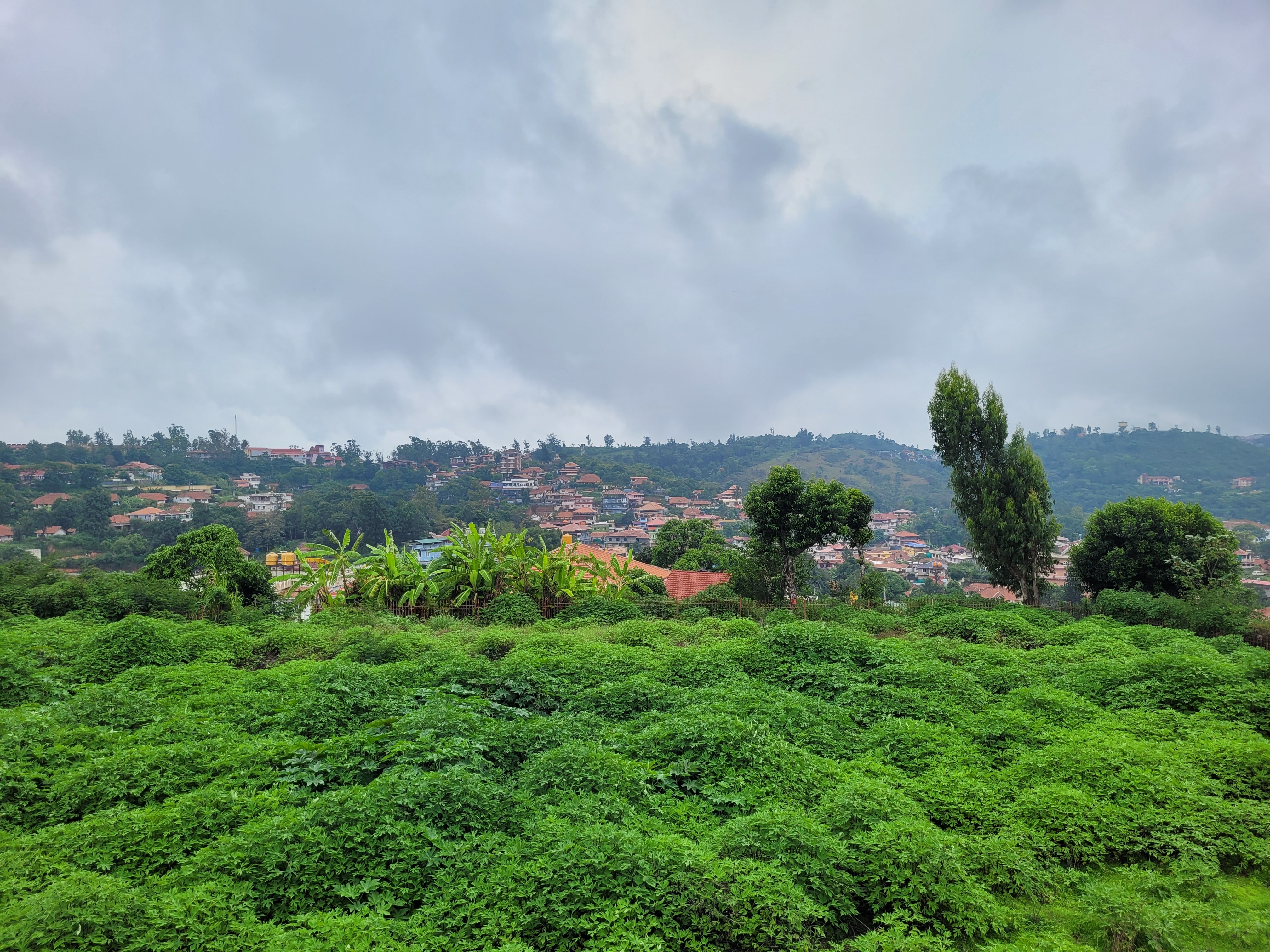 Tourism and Extra-Curricular